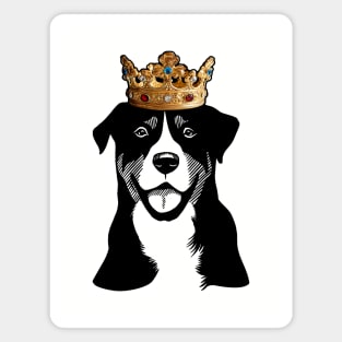 Greater Swiss Mountain Dog King Queen Wearing Crown Magnet